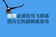 娱乐吃瓜酱励志文案图片