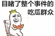 吃瓜群众纯属娱乐行为,娱乐至上的狂欢盛宴